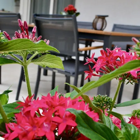 Mysummerhouse Nea Plagia