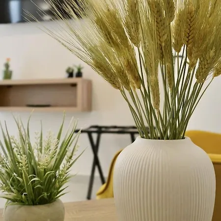 Mysummerhouse Tatil Evi