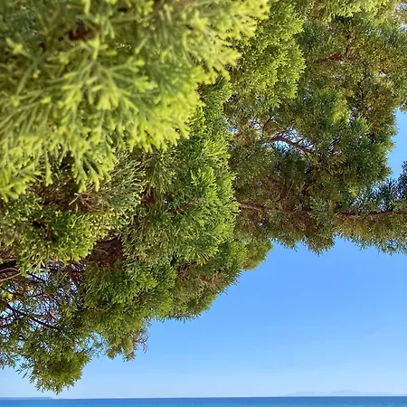 Tatil Evi Mysummerhouse Nea Plagia