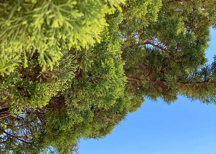 度假居 Mysummerhouse 尼亚普拉加